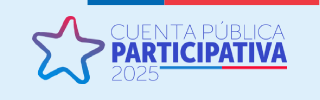 Cuenta Pública - Gestión 2020