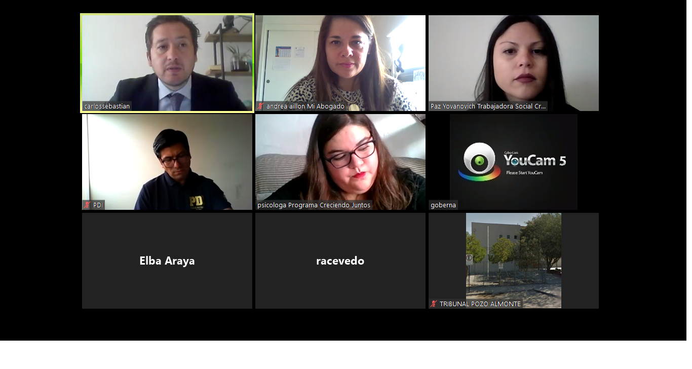 Programa Mi Abogado de Tarapacá participa en audiencia por videoconferencia