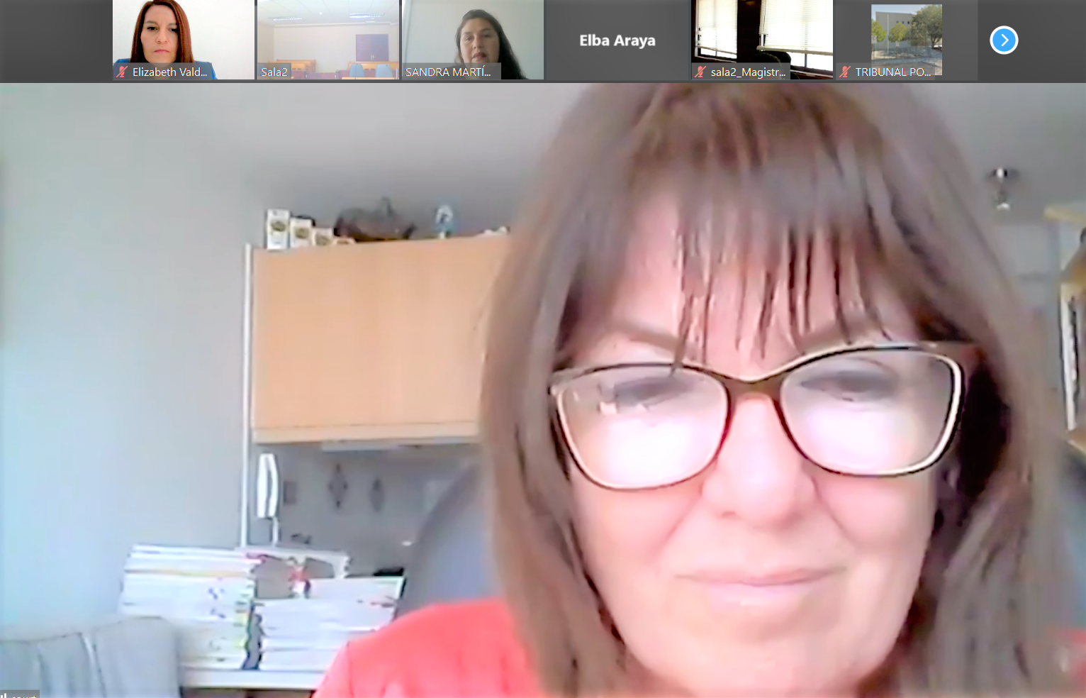 Audiencia ante el Tribunal de Familia de Pozo Almonte