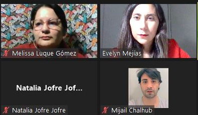 En Arica y Parinacota realizan taller, “Discapacidad desde un enfoque de Derechos”