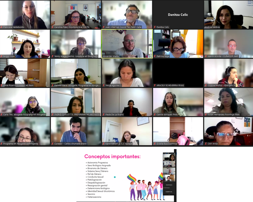 CAJTA participa en charla "Infancias Diversas y disidentes. Derechos, protección y vulneración"