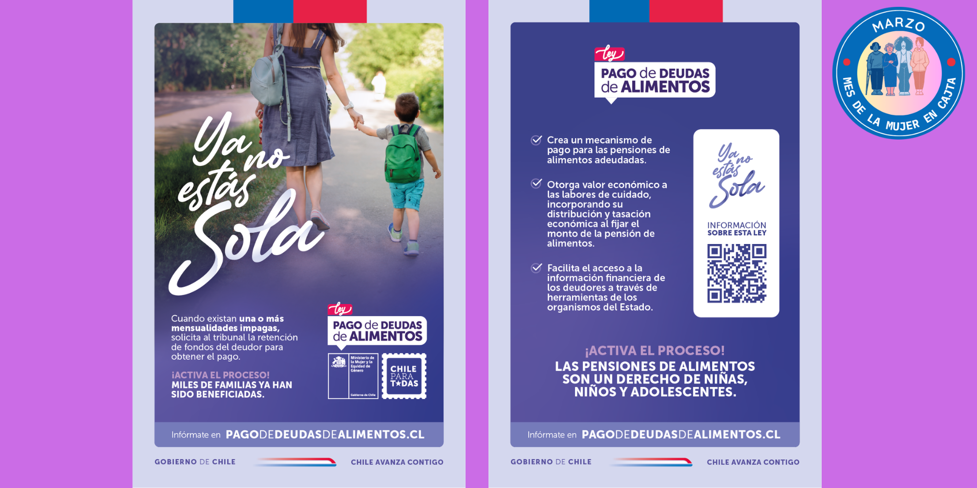 MES DE LA MUJER:  Ley 21.484 de Responsabilidad Parental y Pago Efectivo de Deudas de Pensiones de Alimentos