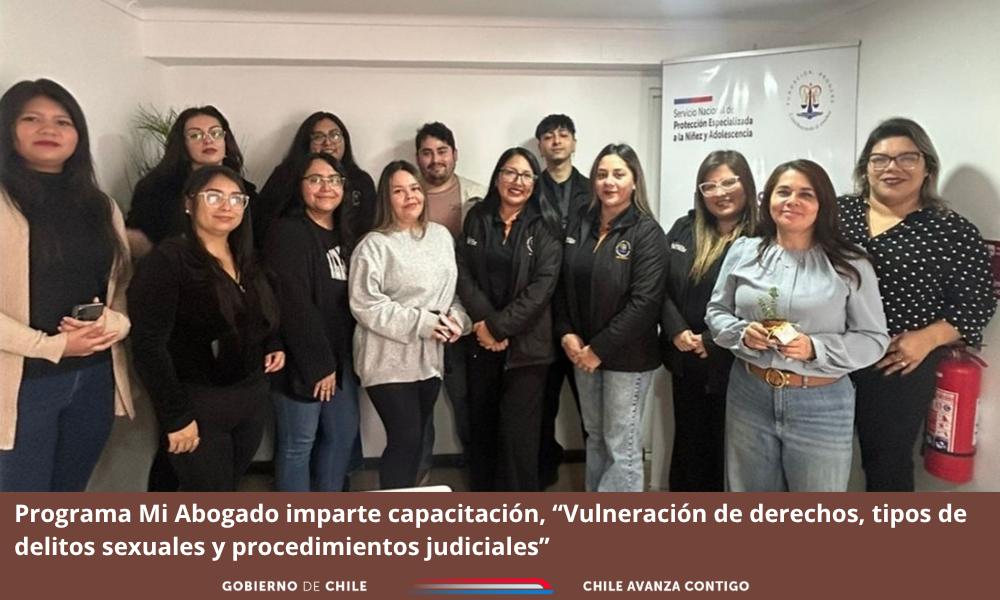 PMA de Tarapacá realiza capacitación :“Vulneración de derechos, tipos de delitos sexuales y procedimientos judiciales"