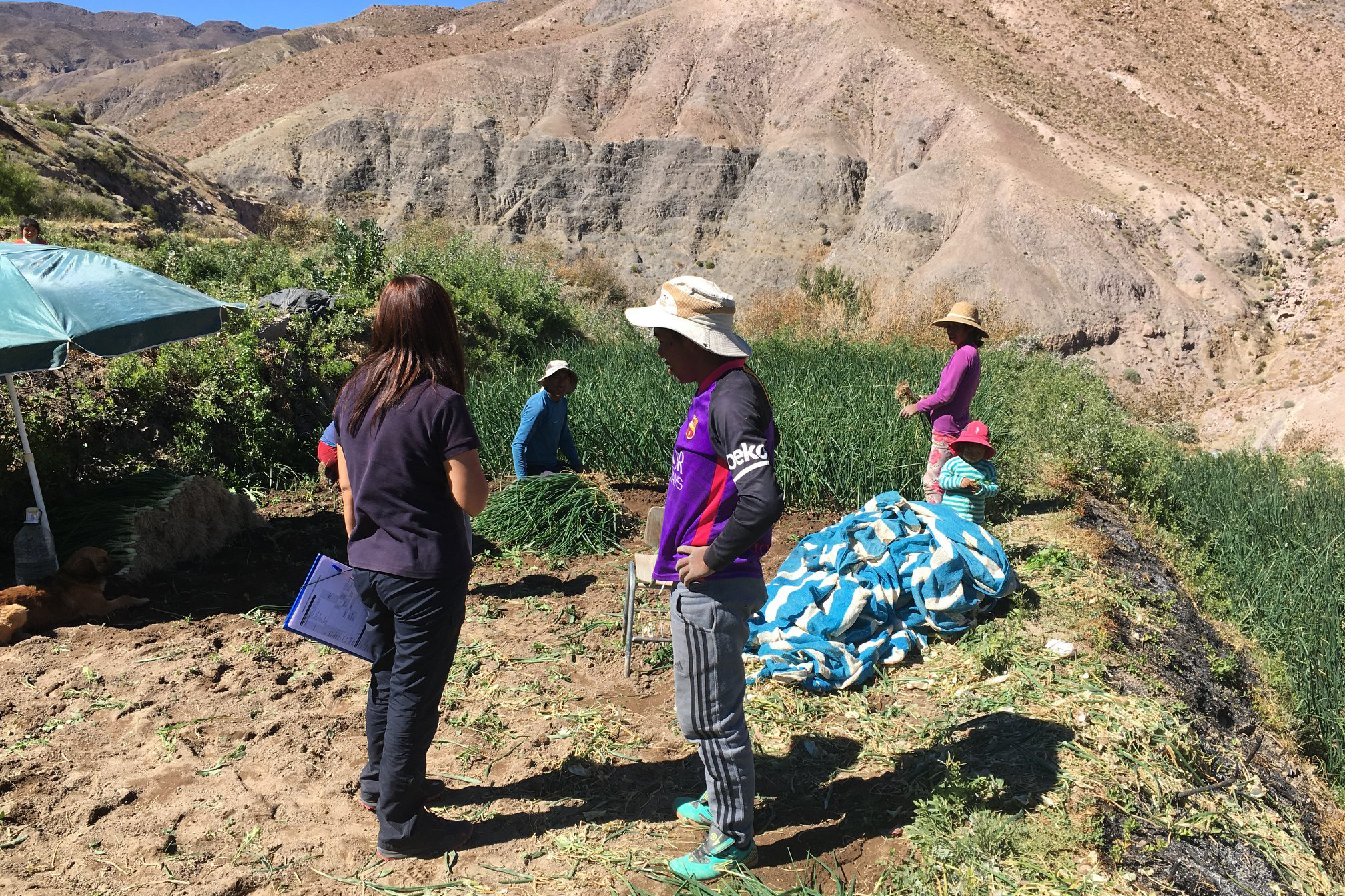 Consultorio Jurídico Móvil del Tamarugal en la comuna de Huara