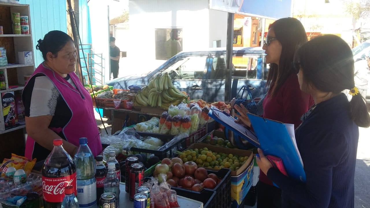 Consultorio Jurídico Móvil del Tamarugal